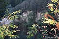 VBS_5554 - C'è un mare di velluto verde! E tu che sognavi di andare lontano... Quanta meraviglia, quì!
